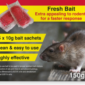 What are the potential health risks associated with a mouse infestation?