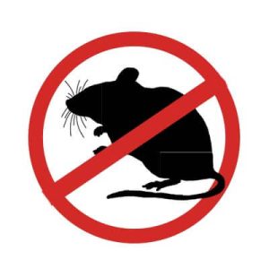 Mice Pest Control in Miami